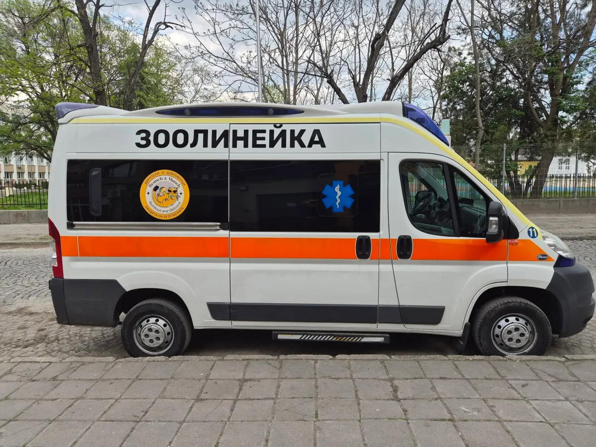 България вече има зоолинейка: безплатна помощ за пострадали животни в цялата страна